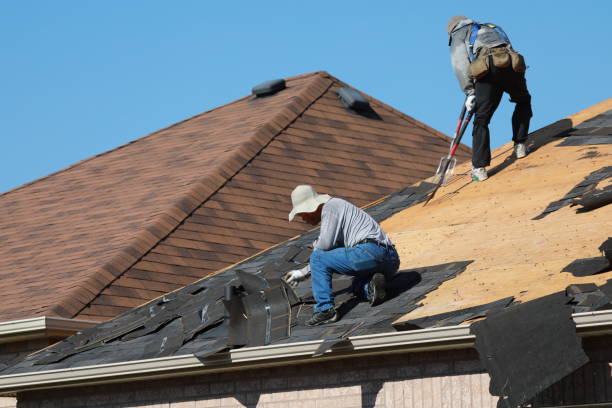 Best Skylight Installation and Repair  in Martinsville, VA